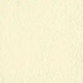 Beige textured surface displaying granular bumps, uneven indentations, and subtle tonal variations in a neutral, organic composition.